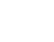 BluChipFinancial